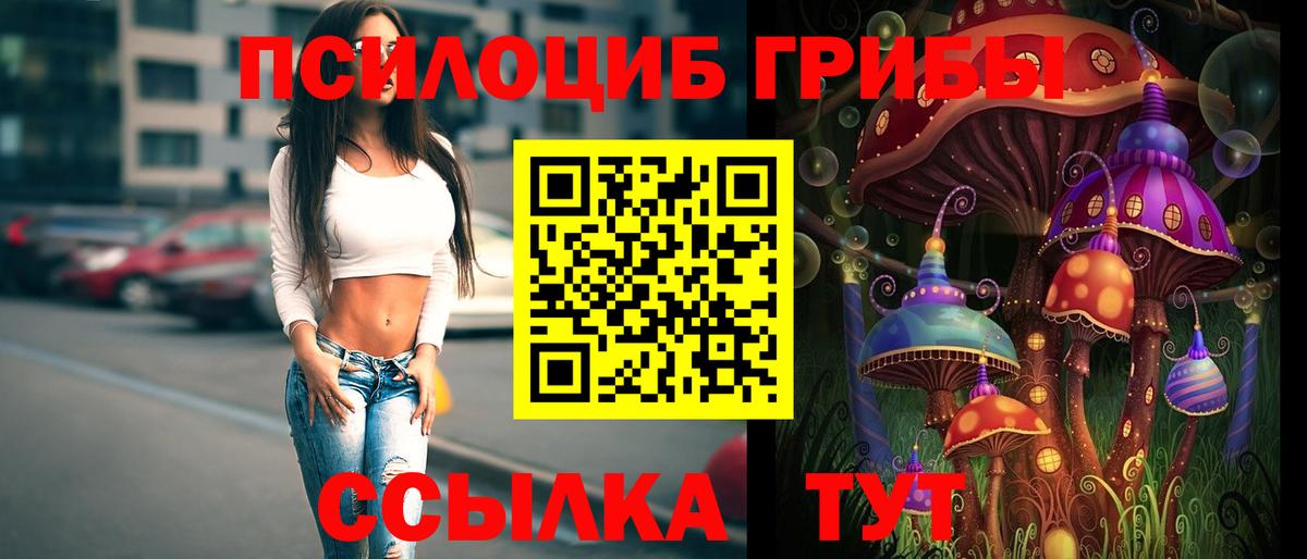 Псилоцибиновые грибы мицелий Дзержинский