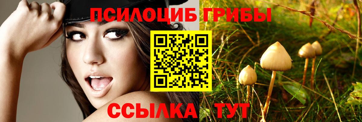 Псилоцибиновые грибы прущие грибы  Вход с VPN  Дзержинский 